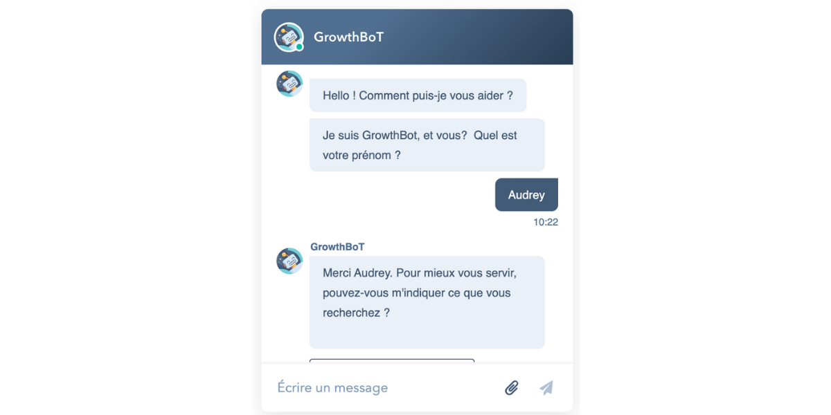 Lead Nurturing : Chatbot