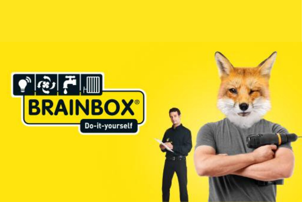 brainbox-1